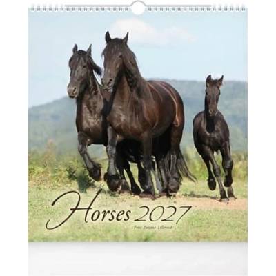 nástenný malý Horses 1061735 2027