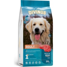 Divinus Adult dla psów dorosłych 20 kg