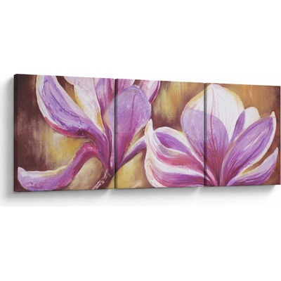Obraz - Kvety magnólie, trojdielne 120x40 cm