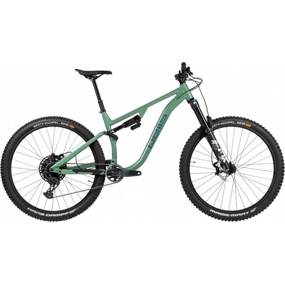 Pells Tarpan AM 1 2023