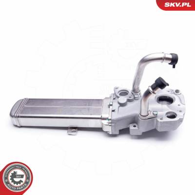 AGR-Ventil ESEN SKV 14SKV137