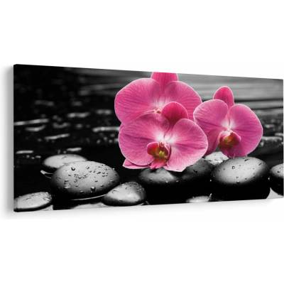 Obraz - Ružové orchidey, jednodielne 250x125 cm