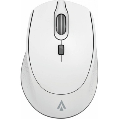 Accura Laurel ACC-M1053
