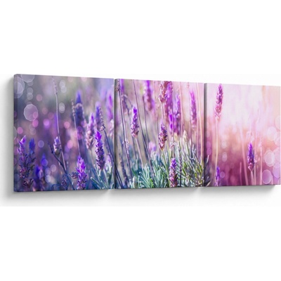 Obraz - Levanduľa vo trblietania slnka, trojdielne 150x50 cm