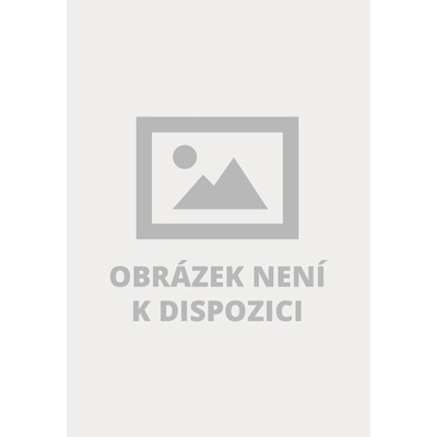Empedoklés II / Zlomky Vítek Tomáš