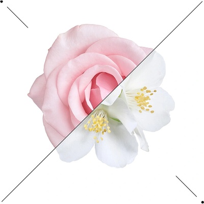 Essens Passenger Princess parfém dámský 50 ml