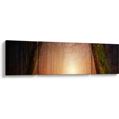 Obraz podzimního lesa v mlze, třídílný 170x50 cm