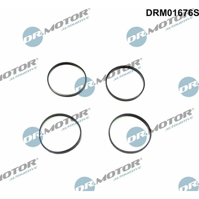 DR.MOTOR AUTOMOTIVE Sada tesnení kolena nasávacieho potrubia DRM01676S