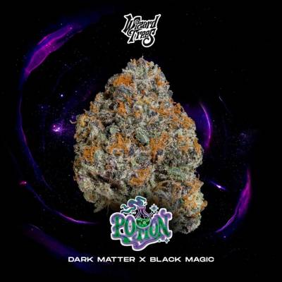 Wizard Trees Potion semienka neobsahujú THC 3 ks