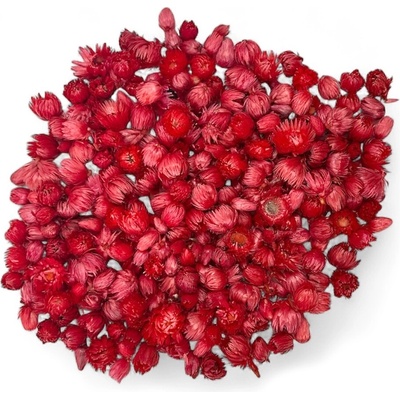 Sušené slamienky - hlavičky Helichrysum Vestitum 100g - červené