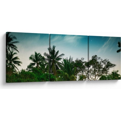 Obraz - palmy, třídílný 120x40 cm