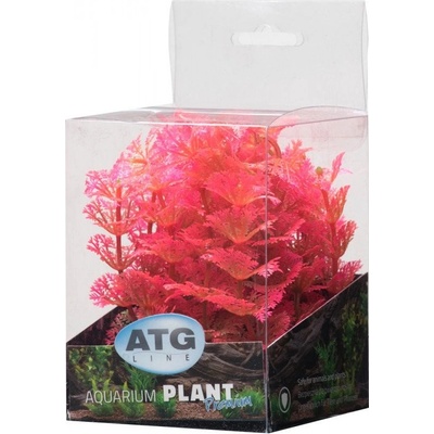 ATG Premium rostlina mini 8 až 14 cm 208