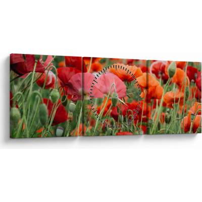 Obraz z poľa vlčích makov (s hodinami), trojdielne 90x30 cm s hodinami