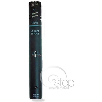 AKG C 391