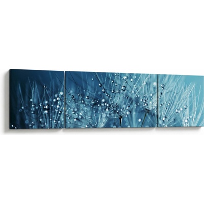 Obraz - Kvapky rosy, trojdielne 170x50 cm