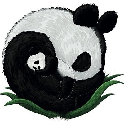 Pohlednice Spící pandy