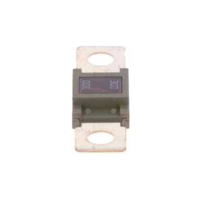 Poistka BOSCH 1 987 531 007