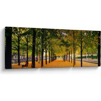 Obraz aleje podzimních stromů, třídílný 90x30 cm
