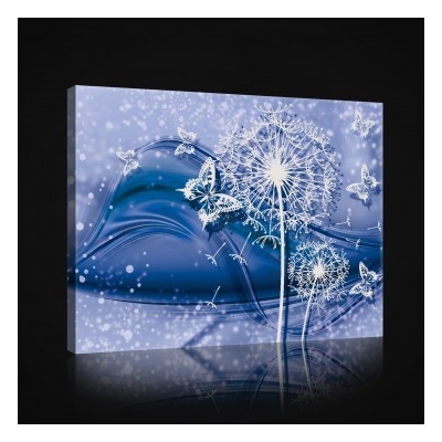 Obraz na plátne obdĺžník - OB1027 - Púpava 80cm x 60cm - O6