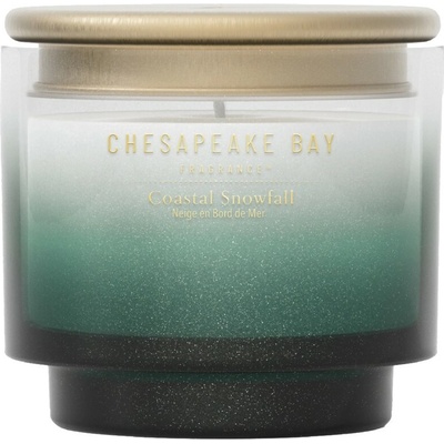 Chesapeake Bay Coastal Snowfall 85 g