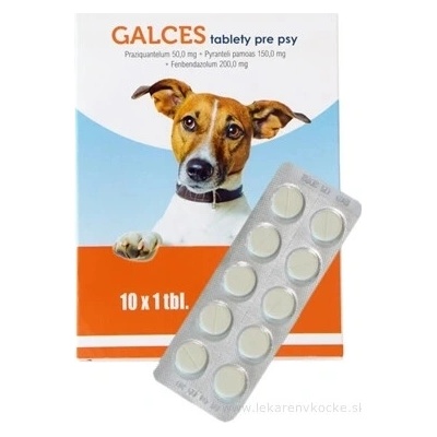 GALCES tablety pro psy 10 ks