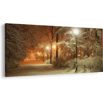 Obraz - Zasnežený park, jednodielne 200x100 cm