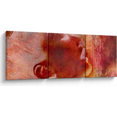 Obraz - Profil ženskej tváre, trojdielne 90x30 cm