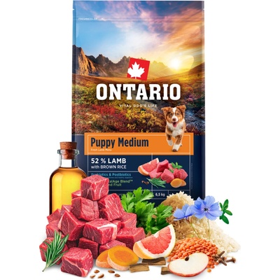Ontario Puppy Medium Lamb & Brown Rice 6,5 kg