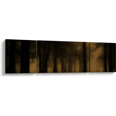 Obraz - Temný les, trojdielne 170x50 cm