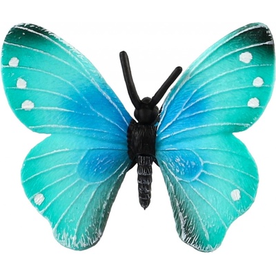 Zooted Motýl tropický Morpho Helena – Hledejceny.cz