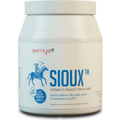 Barny's MSM Sioux prášok 600 g