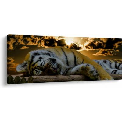 Obraz tigra, jednodielne 100x40 cm