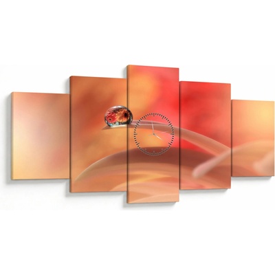 Obraz kvetinové kvapky rosy (s hodinami), päťdielne 150x80 cm s hodinami