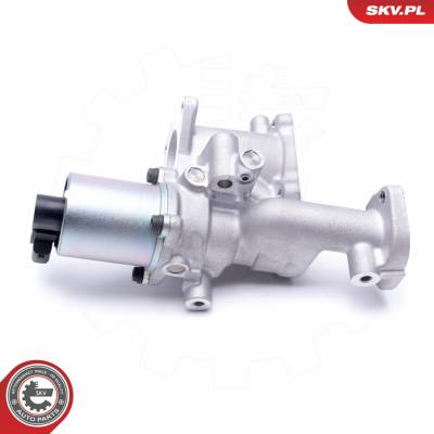 AGR - Ventil ESEN SKV 14SKV167