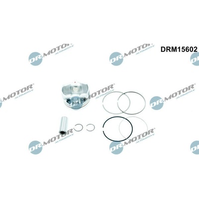 Dr.Motor Automotive DRM15602 – Hledejceny.cz