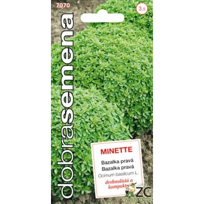 Bazalka DS Minette drobnolistá 0,60 g