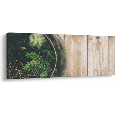 Obraz sukulentov v skle, jednodielne 100x40 cm