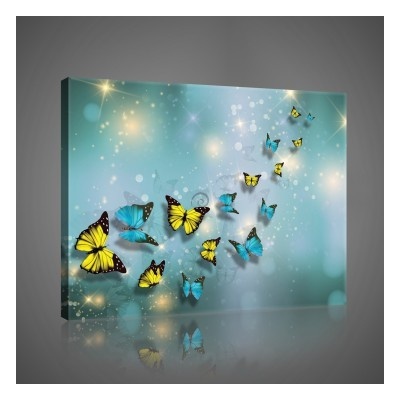 Obraz na plátne obdĺžník - OB1042 - Motýle 80cm x 60cm - O6