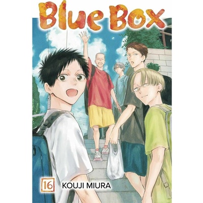 Viz Media Blue Box 16