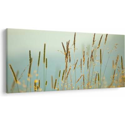 Obraz - Lúčny okamih, jednodielne 250x125 cm