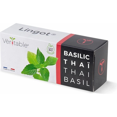 Véritable Lingot Thajská bazalka BIO VLIN-O10-BAS00D