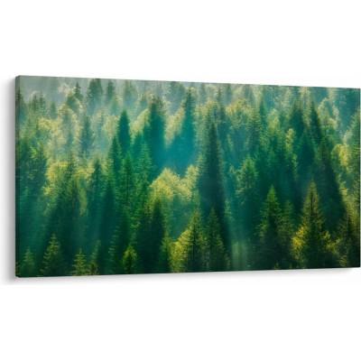 Obraz - Borovicový les, jednodílný 120x70 cm