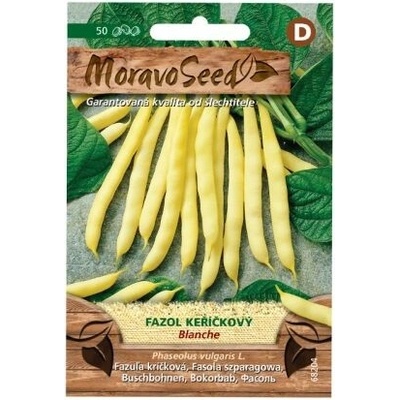 Fazuľa kríčková žltá BLANCHE MoravoSeed