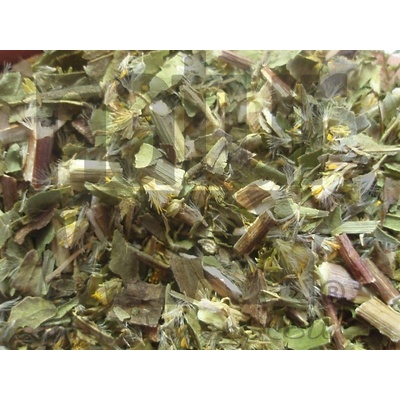 Bylinná lékárna Zlatobýl nať Solidaginis herba 200 g