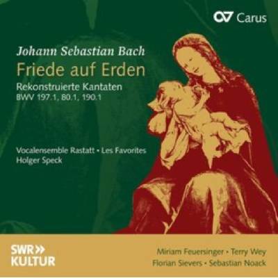 Johann Sebastian Bach: Friede Auf Erden CD Album – Hledejceny.cz