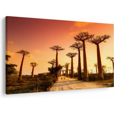 Obraz - Západ slnka v uličke Baobab, jednodielne 150x100 cm
