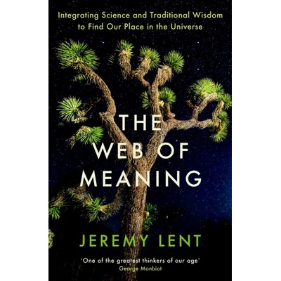 Web of Meaning