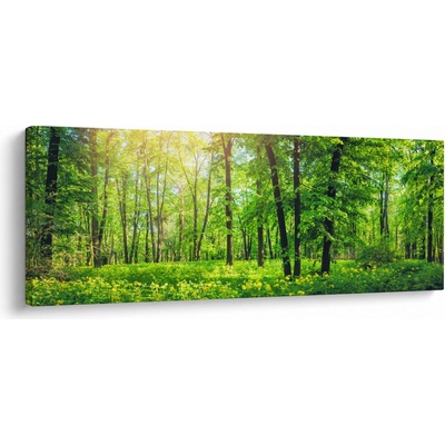 Obraz - Jarný listnatý les, jednodielne 145x58 cm
