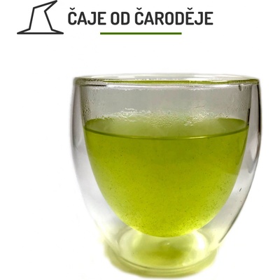 BODUM Set dvoustěnná sklenice 2 x 250 ml