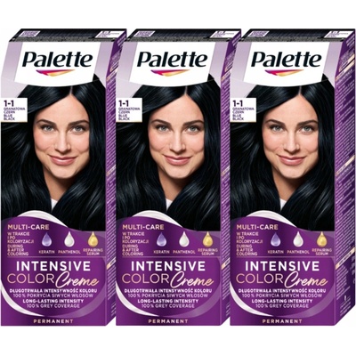 Palette Barva na vlasy C1 1-1 tmavě modrá černá x3